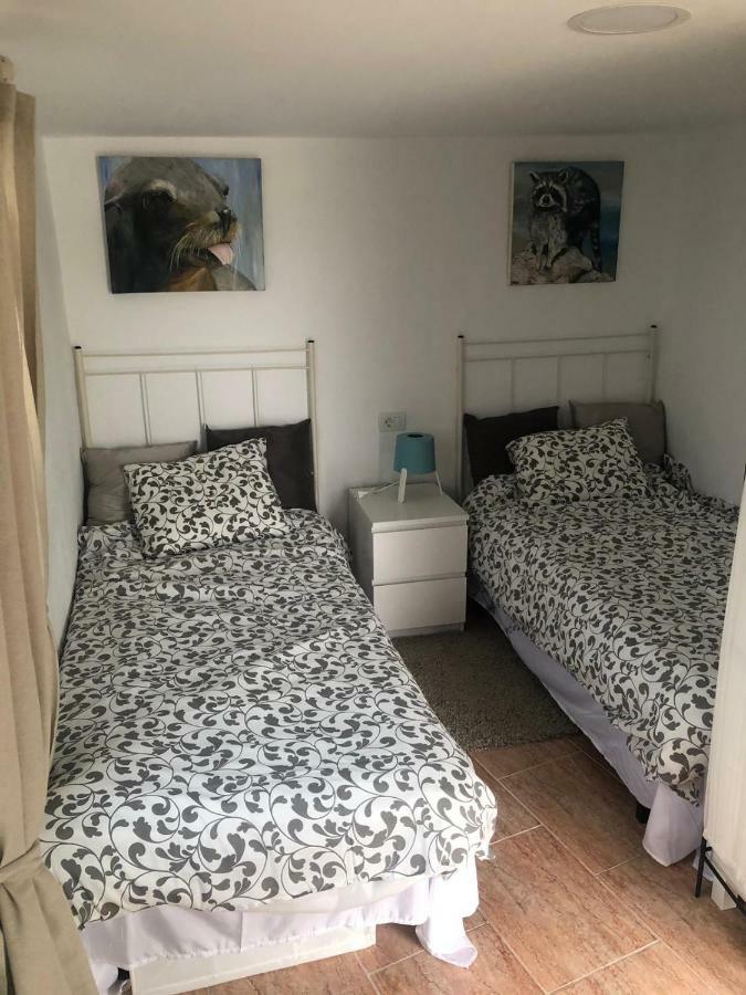 Arico Viejo La Casita De Campoヴィラ エクステリア 写真